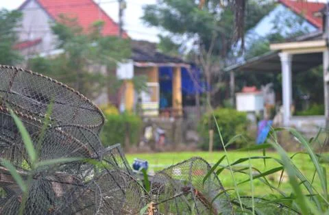 Fishing baskets drying in a front yard, with houses in the background. Stock Photos