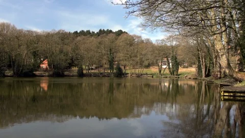 Fishing bay on angling pool Stock Footage 85594960