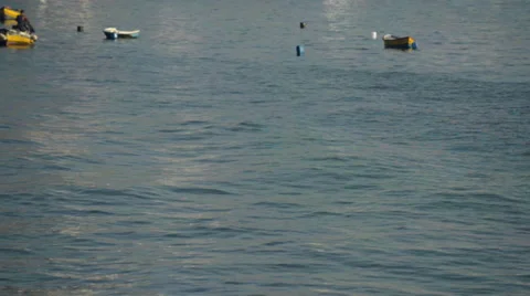 Fishing on the Bay Stock Footage 35619553