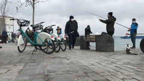 Fishing on the beach Stock Footage 145288155