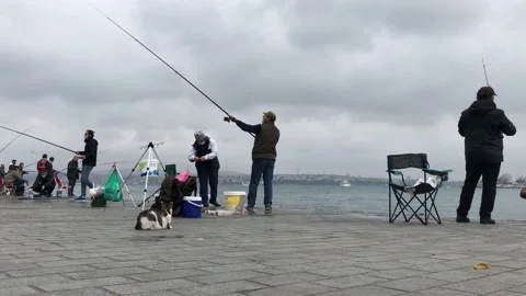 Fishing on the beach Stock Footage 145289732