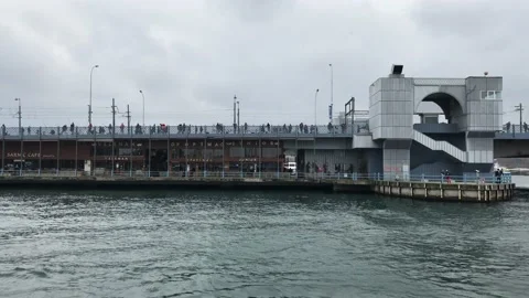 Fishing on the beach Stock Footage 145289848