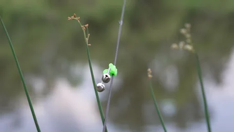 Fishing Bite Alarm Bell Attached to Rod Tip by Pond Vidéo 340837277