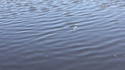 Fishing bite float on wavy river 10448 Stock Footage 43296864