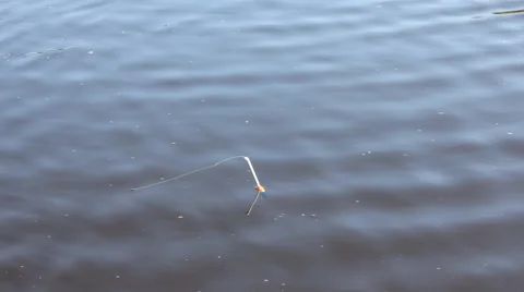 Fishing bites 10470 Stock Footage 47862941