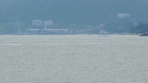 Fishing Boa Vídeo Stock 113876026