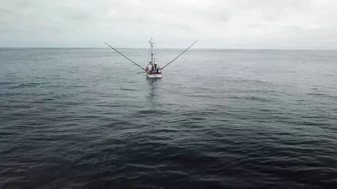 Fishing Boat #01 Stock Footage 113698237