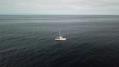 Fishing Boat #12 Stock Footage 113698294