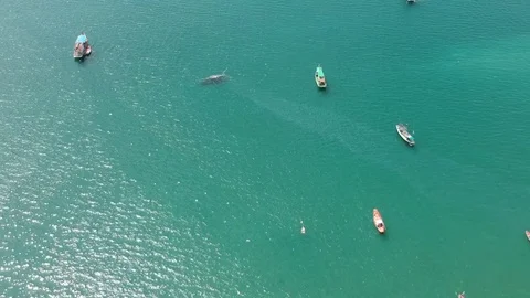 Fishing Boat Arial View Stockbeeldmateriaal 82864913