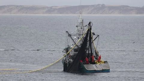 Fishing Boat bringing in net Stock Footage 153335479