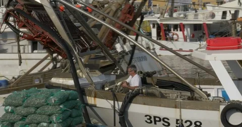 Fishing Boat Clams Harbor Stock Footage