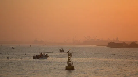 Fishing boat in the distance with many Seagulls flying around boat Stock Footage 32256239