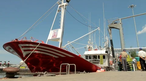 Fishing boat at dock Stock Footage 795226