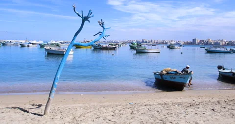 Fishing boat in egypte Vidéo 86895664