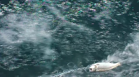 Fishing On The Boat Stock Footage 1180663