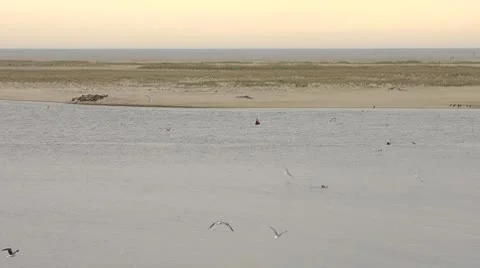 Fishing Boat Stock Footage 8907906