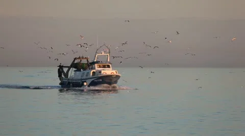 Fishing boat Stock Footage 16996449