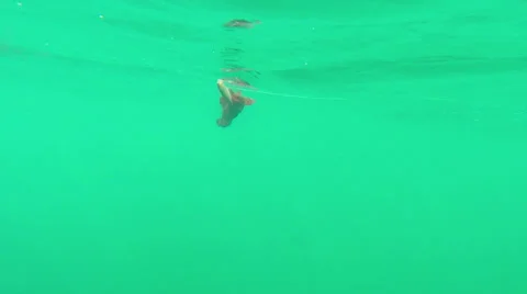 Fishing on boat Stock Footage 35148349