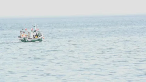 Fishing Boat Stock Footage 133207898