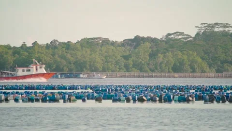 Fishing Boat Gliding Through a Floating Fish Farm 4k Stock Footage 158590864