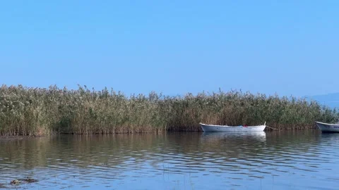 Fishing boat, global warming concept Stock Footage 254288154