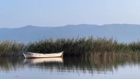 Fishing boat, global warming concept Stock Footage 254288197