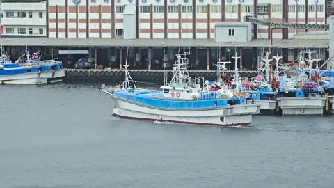 Fishing boat moving through the harbor of Seogwipo port on Jeju Island. South Stock Footage 327615534