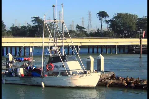Fishing boat - NTSC Stock Footage 12441219