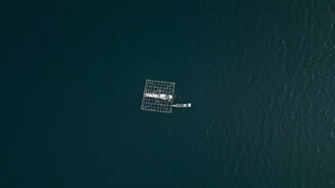 Fishing boat in the ocean Stock Footage 280241918