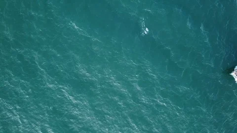 Fishing boat in the ocean heading back to the shore with its catch of the day Stock Footage 99953089