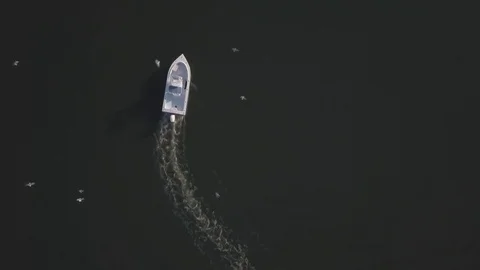 Fishing boat from overhead Stock-Footage 82761934