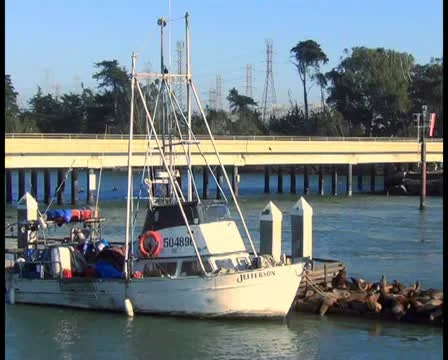 Fishing boat - PAL Video stock 12458971