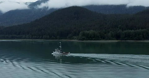 Fishing boat passing pine-covered mountains of Alaska Inside Passage Stock Footage 208440587