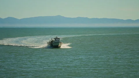 Fishing boat returning from the daily session with catch on board Stock Footage 341663494