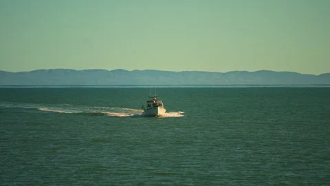 Fishing boat returning from the daily session with catch on board Stock Footage 341664011