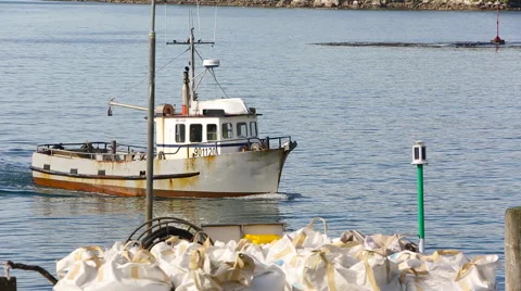 Fishing boat returning to Halfmoon Bay on Stewart Island, New Zealand Video stock 55540046