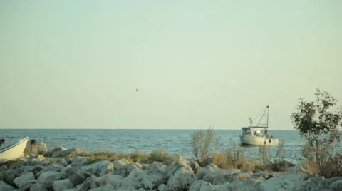Fishing boat returns to the dock with prey Stock Footage 68177927