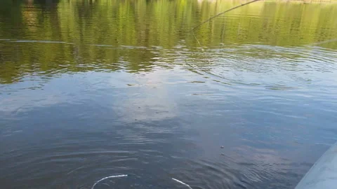 Fishing from a boat on the river. a middle-aged man caught a big pike spinning. Stock Footage 100682157