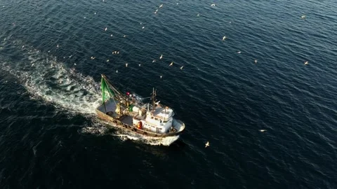 A fishing boat in the sea Stock Footage 148557877