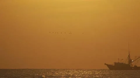 Fishing boat at Sunrise, Ormond Beach, Florida Video stock 11409952