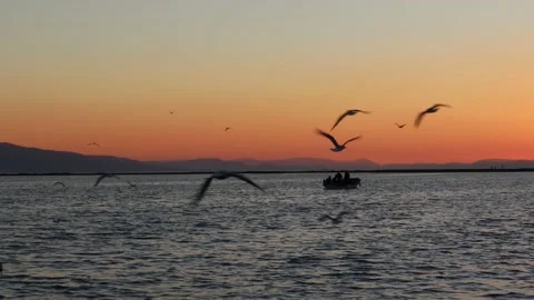 Fishing Boat on Sunset Stock Footage 170912221