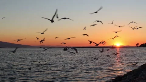 Fishing Boat on Sunset Stock Footage 170912274