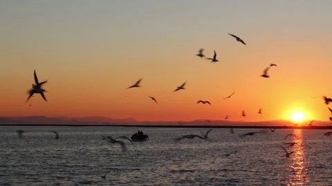 Fishing Boat on Sunset Stock Footage 170912279