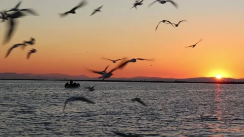 Fishing Boat on Sunset Stock Footage 170912281