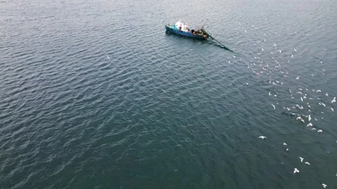 Fishing boat towing a large net across open sea, surrounded by seagulls flying o Stock Footage 323225533