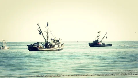 Fishing boats 1 Stock Footage 75393977
