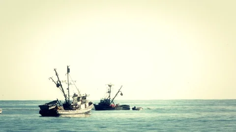 Fishing boats 2 Stock Footage 75394257