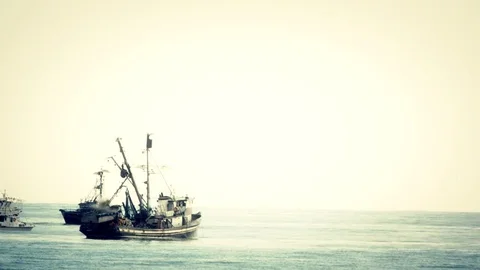 Fishing boats 3 Stock Footage 75394116