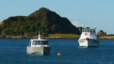Fishing boats at anchor Stock Footage 120097776