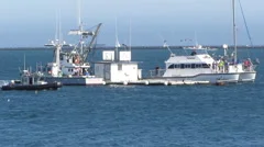 Commercial Fishing Boat Takes On Bait, Stock Video
